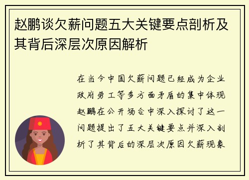 赵鹏谈欠薪问题五大关键要点剖析及其背后深层次原因解析